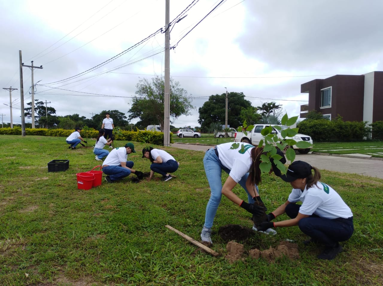 Banco Ganadero colabora con Ecosector para plantar 150 árboles de Tajibo